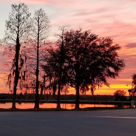 Meet your Posher, Leanne - Picture 1 of 1